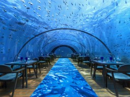 5.8 - Erleben Sie im Unterwasserrestaurant 5.8 ein Dinner der Extraklasse.